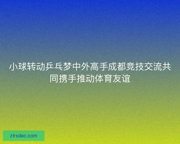 小球转动乒乓梦中外高手成都竞技交流共同携手推动体育友谊