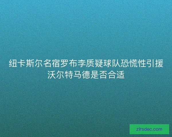 纽卡斯尔名宿罗布李质疑球队恐慌性引援沃尔特马德是否合适